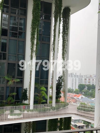 The Tembusu (D19), Condominium #160777652